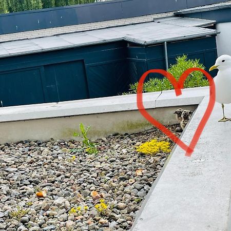 Apartment Moevenkoje Fuer 1-2 Personen Mit Pool Dahme Dış mekan fotoğraf